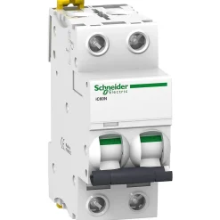 A9f75204 - Disjoncteur Courbe D Bipolaire 4a - 2p - 50ka - à Vis - Schneider Electric Acti9 Ic60n