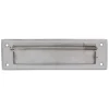 AMIG - Entrée de boîte aux lettres 1 - 254 x 78 mm - Acier inoxydable - Inoxydable