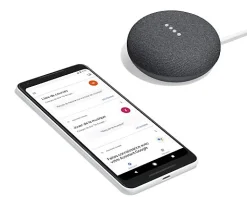 Assistant vocal Google mini anthracite