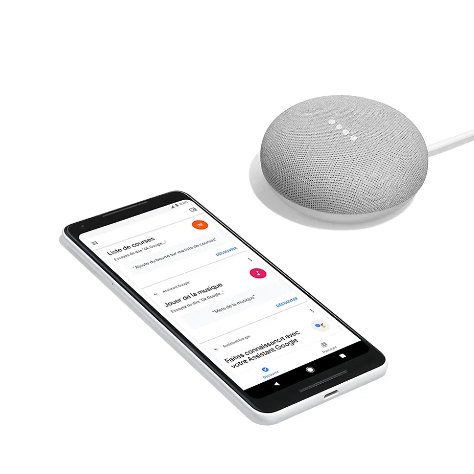 Assistant vocal Google mini rock candy