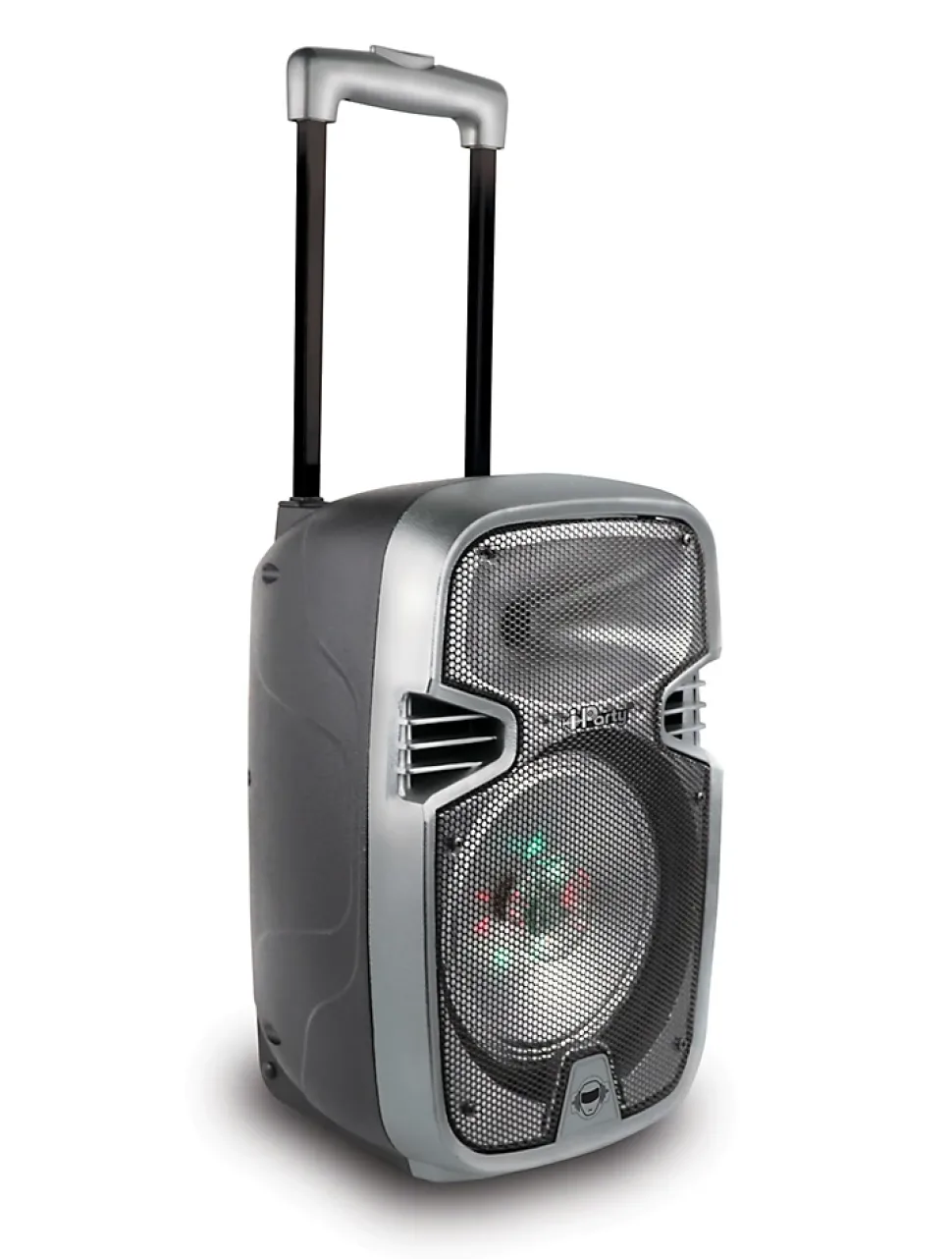 Bluetooth Karaoke avec roulettes, lumières et micro