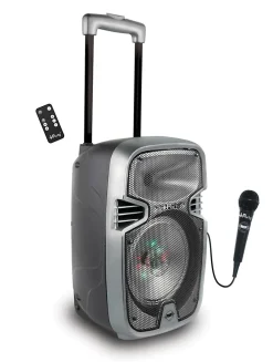 Bluetooth Karaoke avec roulettes, lumières et micro