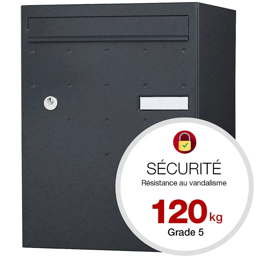Boite à colis Atout 1 porte Noir Sablé RAL 2100MS