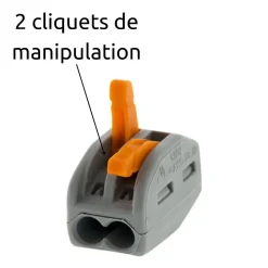 Borne rapide automatique à cliquet S222 - 2 entrées - Wago