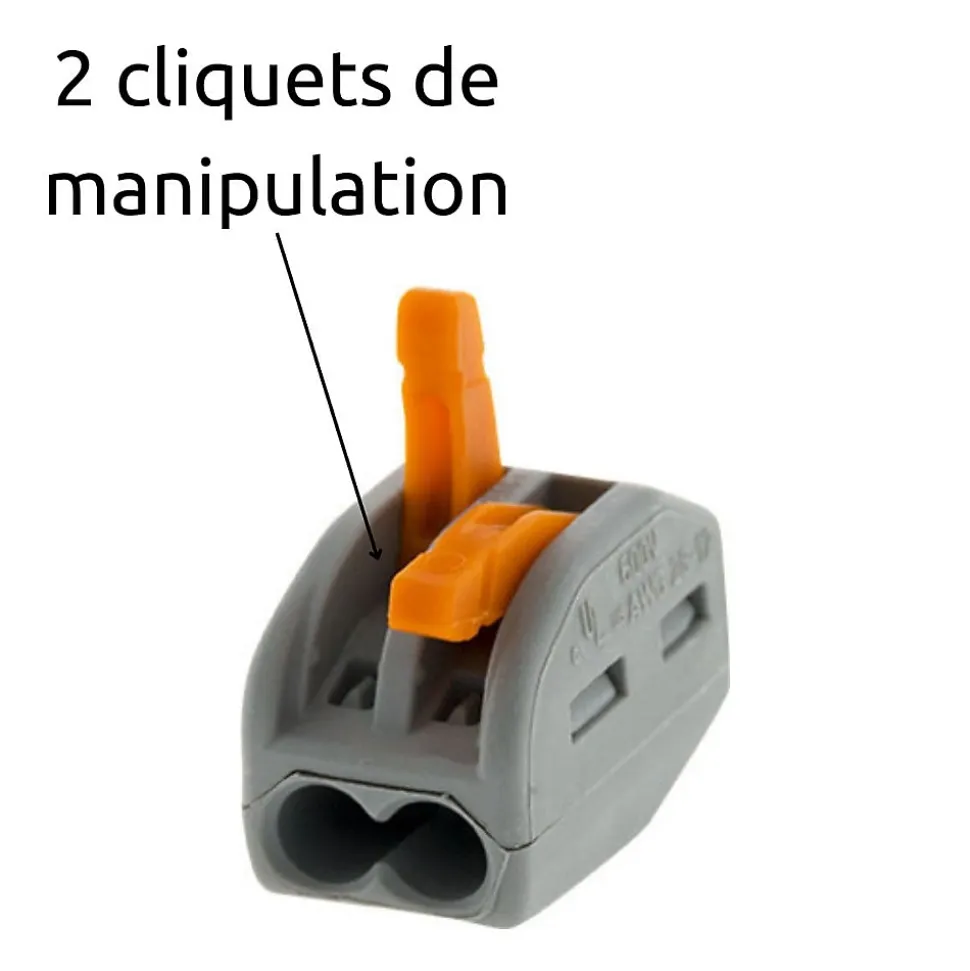 Borne rapide automatique à cliquet S222 - 2 entrées - Wago