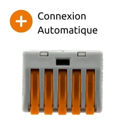 Borne rapide automatique à cliquet S222 - 5 entrées - Wago