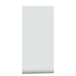 Boîte d'encastrement diamètre 36 mm Schneider Electric Ovalis blanc