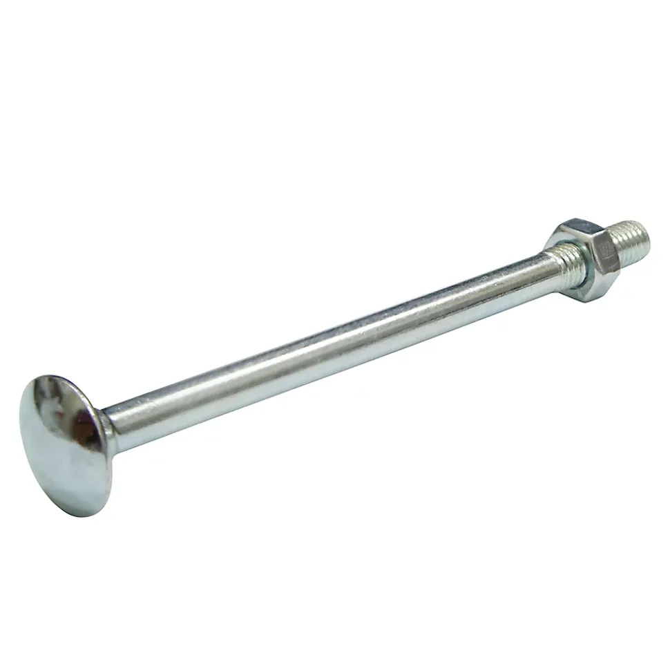 10 boulons tête ronde collet carré 5 x 30 mm