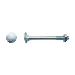 10 boulons tête ronde collet carré 6 x 70 mm