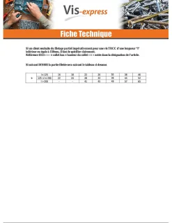 Boulon (vendu avec Ecrou) TRCC JAPY tête ronde collet carré M6X60 Filetage partiel Acier zingué - 30 pièces