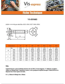 Boulon (vendu avec Ecrou) TRCC JAPY tête ronde collet carré M10X200 Filetage partiel Acier zingué - 5 pièces