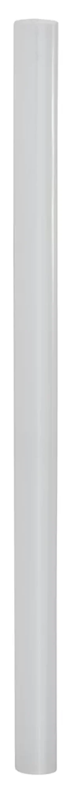 Bâtonnet de colle Bosch professionnelle 200 mm 500g