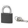 Cadenas ACERA gris à clé, base 50 mm, anse acier cémenté, 3 clés - SERRUPRIX