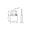 Cadenas à clé Type 1, laiton, extérieur, anse inox, 30mm, 2 clés - THIRARD