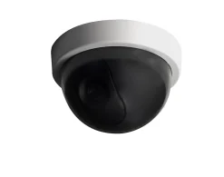 Caméra de vidéosurveillance intérieure factice Chacon