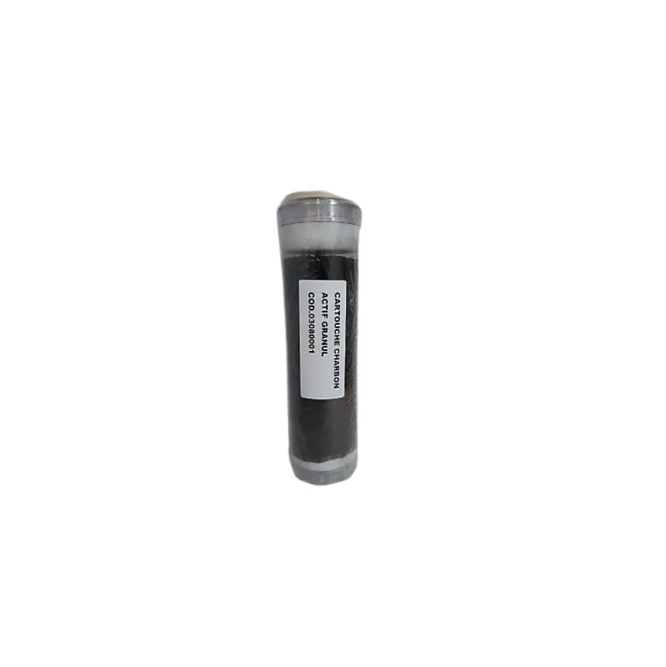 Cartouche charbon actif filtre à eau anti-goût et odeur