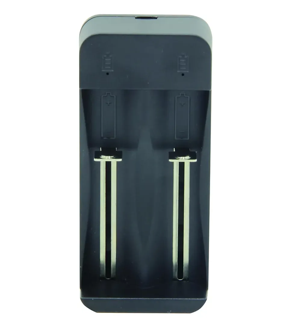 Chargeur rapide à 2 canaux pour batteries lithium-ion