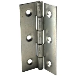 Charnière inox Diall 60 x 35 mm vendue par 2