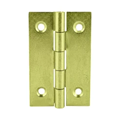 2 charnières acier laitonné Diall 40 x 25 mm