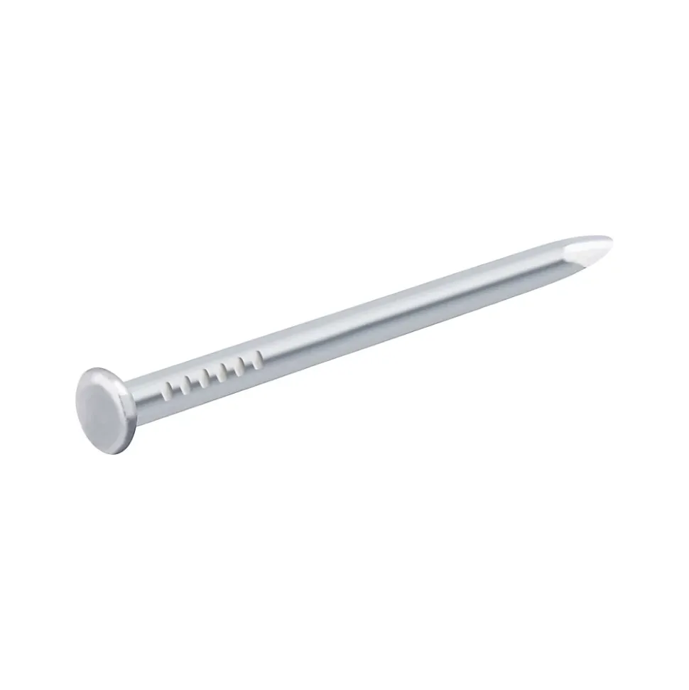 Clous à tête bombée en acier zingués 1,8x30 - 125g