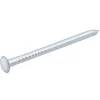 Clous à tête bombée en acier zingués 1,5x25 - 125g