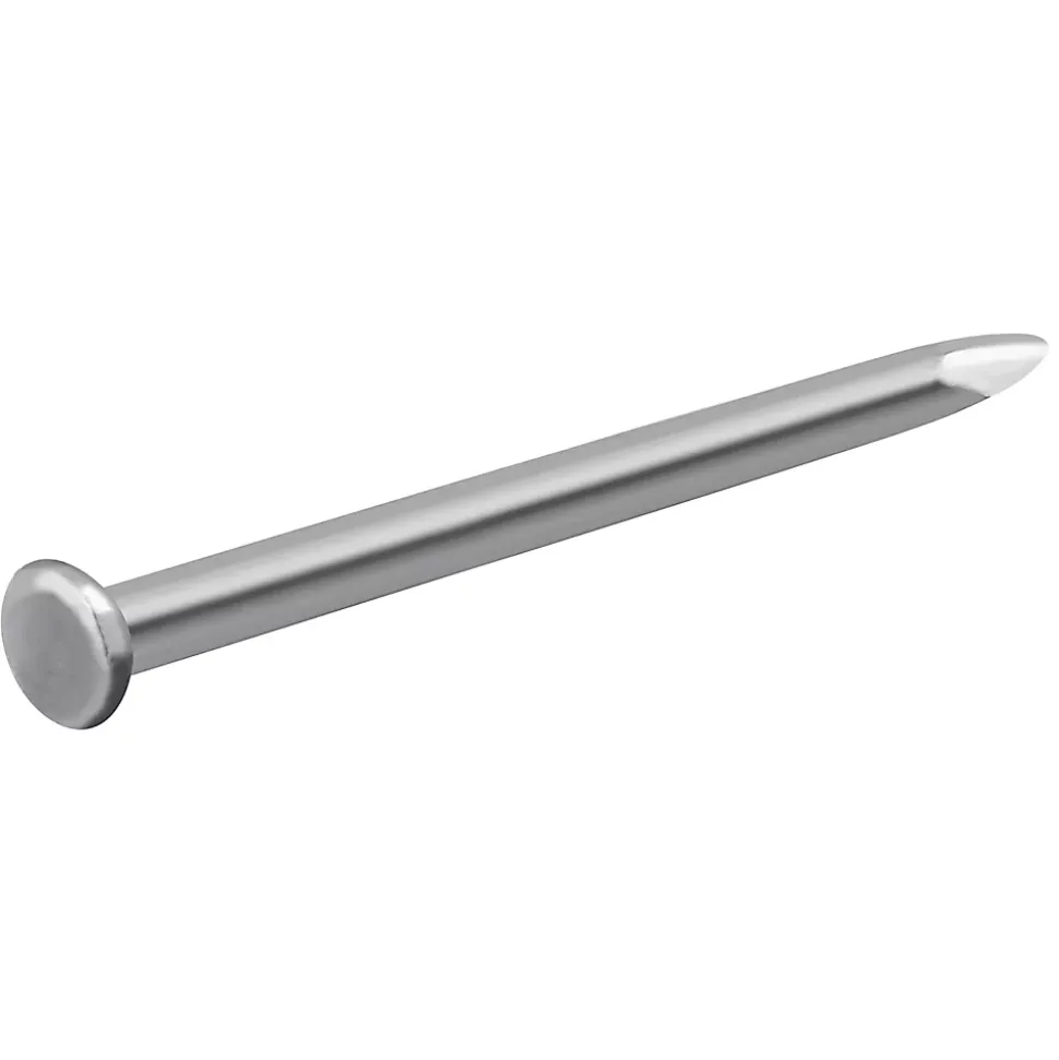 Clous à tête plate en acier galvanisés 2,2x40 - 125g