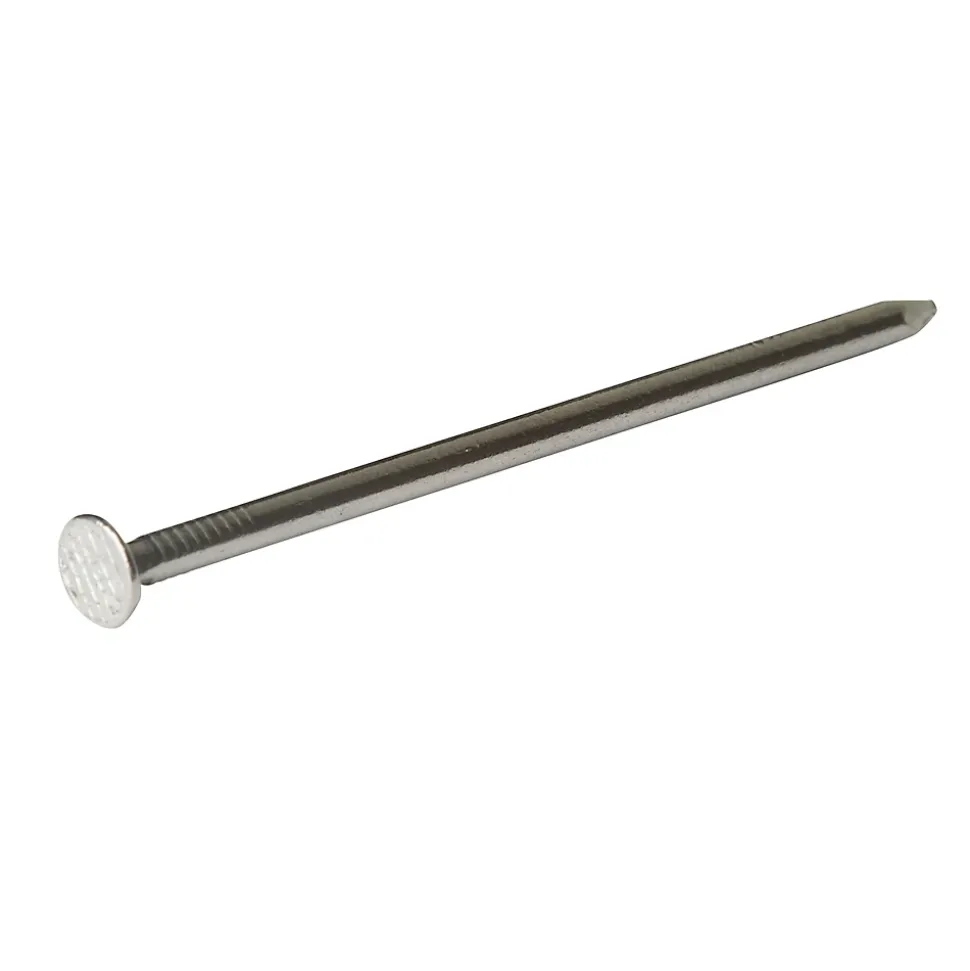 Clous à tête plate en acier galvanisé 3x12 - 125g