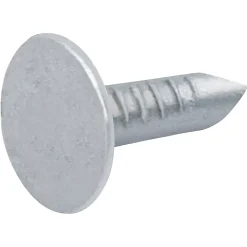 Clous à tête plate en acier galvanisé 2,7x50 - 1kg