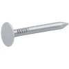 Clous à tête plate en acier galvanisé 3x20 - 2kg
