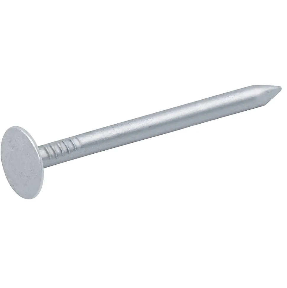 Clous à tête plate en acier galvanisé 3x50 - 1kg