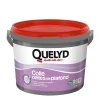 Colle Quelyd pour Dalles de plafond Pâte 7 kg