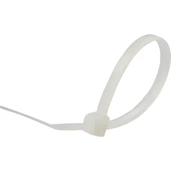 100 colliers de serrage en nylon Diall 2,5 x 100 mm transparent