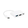 Convertisseur USB C mâle vers USB A / HDMI A / USB C femelle