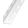 Cornière perforée acier époxy blanc 27 x 27 mm, 1m
