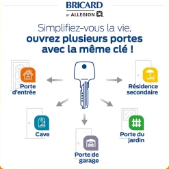 Cylindre débrayable Bricard 30+30/30+30/30+40 avec 6 clés