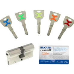 Cylindre débrayable Bricard Mistral 2 entrées 35x35 mm