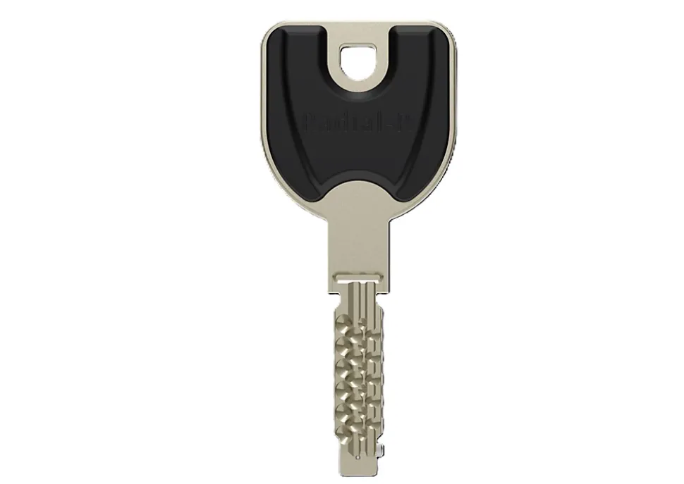 Cylindre 2 entrées nickel Vachette 32.5 X 32.5 mm