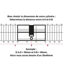 Cylindre serrure porte debrayable haute sécurité clés réversibles Carte propriété Trafic 6 Thirard Taille - 30x65mm