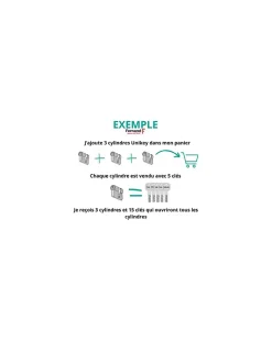 Demi cylindre de serrure Transit 1 UNIKEY (achetez-en plusieurs, ouvrez avec la même clé), 40x10mm, 5 clés, nickelé - THIRARD
