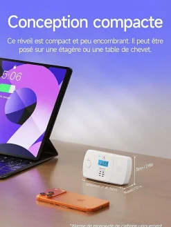 Detecteur de monoxyde de carbone avec alarme 85 dB et led rectangulaire L.12.5 x l.7.5 x H.2.8 cm - HEIMAN
