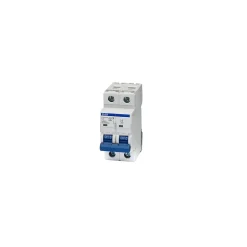 Disjoncteur Bipolaire 2p - 2a - 10ka - Courbe D - à Vis - Imo B10d2002a