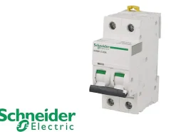 Disjoncteur modulaire bipolaire Schneider Acti9 iC60N 20A courbe D