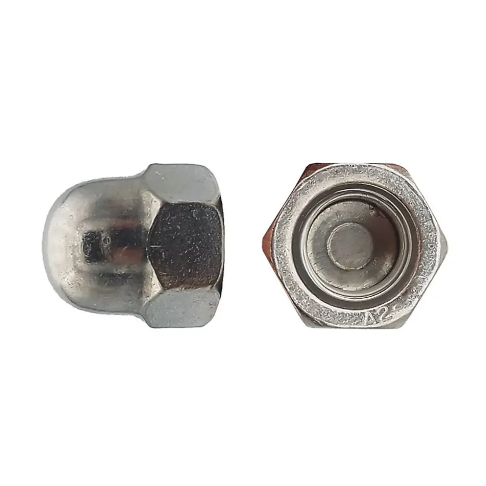 25 Ecrous Borgnes M22 mm - DIN 1587 - Inox A2 - D-Work
