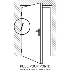 Ferme‑porte à recouvrement Diall pour portes intérieures jusqu'à 60 kg maxi en acier longueur 280 mm