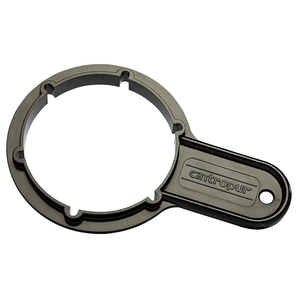 Filtre Domestique Cintropur Sl 240 Duo-ctn 1" Smart Line