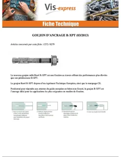 Goujon Ancrage R-XPT M8X60 Acier zingué - 30 pièces