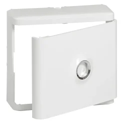 Habillage + porte pour platine de branchement Legrand DRIVIA