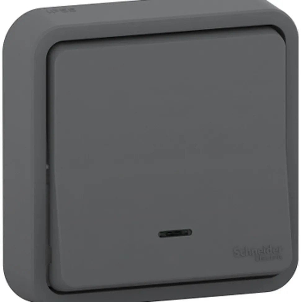 Interrupteur poussoir lumineux étanche complet encastré Schneider Electric Mureva Styl anthracite