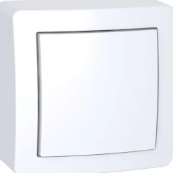 Interrupteur va-et-vient complet saillie Schneider Electric Alréa blanc