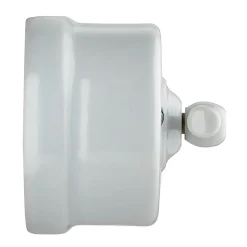 Interrupteur va-et-vient saillie Fontini Garby Porcelaine blanche, manette blanche